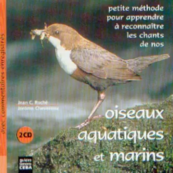 Oiseaux Aquatiques Et Marins