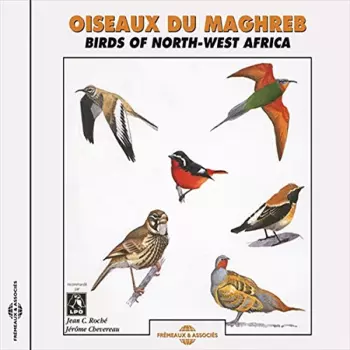 Jean C. Roché: Oiseaux Du Maghreb - Birds Of North-West Africa