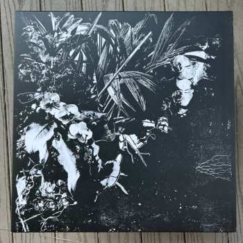 LP Jef Mertens: Orchid Alto LTD