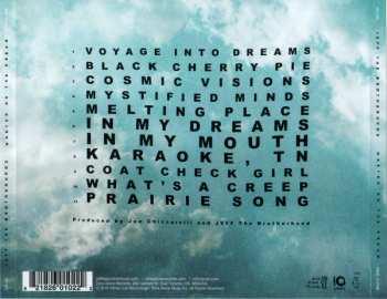 CD Jeff The Brotherhood: Wasted On The Dream