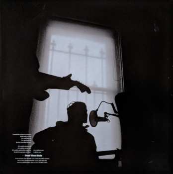 LP Jen Cloher & The Endless Sea: Dead Wood Falls CLR