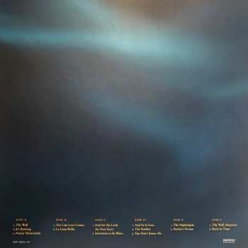 3LP/Set di cofanetti Jennifer Warnes: The Well LTD