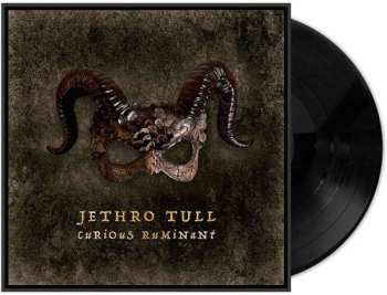 LP Jethro Tull: Curious Ruminant