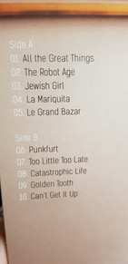 LP Jewish Monkeys: Catastrophic Life 
