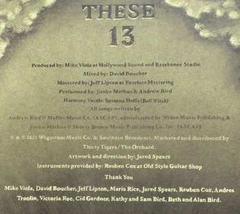 LP Andrew Bird: These 13