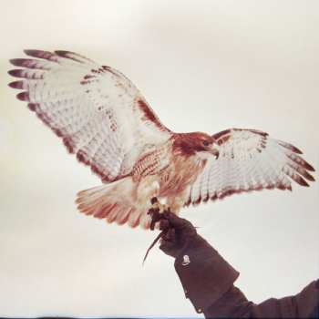 LP Jm Airis: Wild Birds