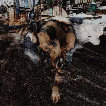 CD Joe Volk: Primitive Energetics