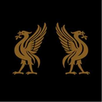 Album Joey Cape: Liverbirds