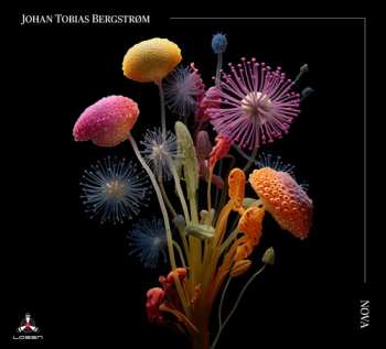CD Johan Tobias Bergstrøm: Nova