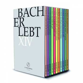 11DVD Johann Sebastian Bach: Bach-kantaten-edition Der Bach-stiftung St.gallen "bach Erlebt" - Das Bach-jahr 2020