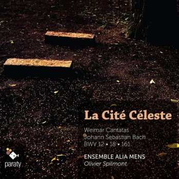 CD Johann Sebastian Bach: La Cite Céleste: Weimar Cantatas