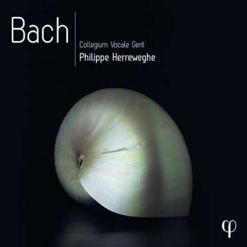 10CD/Set di cofanetti Johann Sebastian Bach: Bach