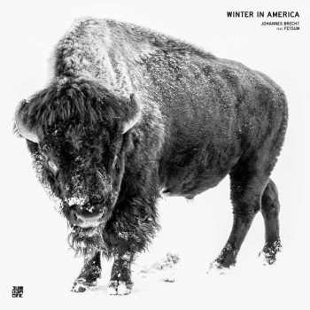 LP Fetsum: Winter In America  CLR