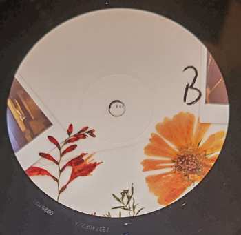 LP John Blek: The Midnight Ache