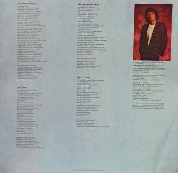 LP John Illsley: Glass
