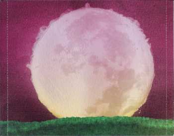 CD John Vanderslice: Pixel Revolt