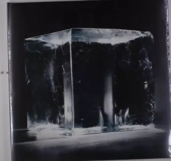 Digital Rain