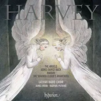 The Angels • Ashes Dance Back • Marahi • The Summer Cloud's Awakening