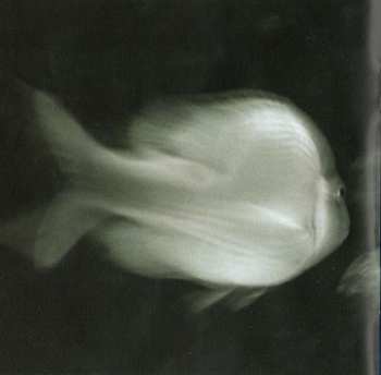 CD Jovanotti: Lorenzo 1997 - L'Albero