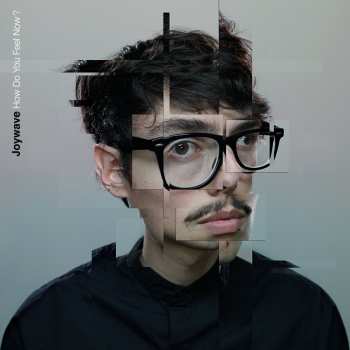 2LP Joywave: How Do You Feel Now?