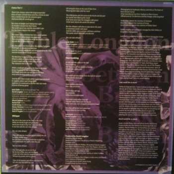 LP Judy Dyble: Between A Breath And A Breath