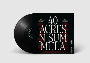 LP Juju Rogers: 40 Acres N Sum Mula