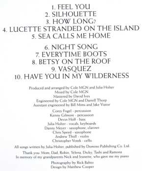 LP Julia Holter: Have You In My Wilderness