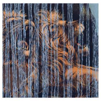 LP Julian Lynch: Lines