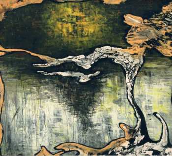 CD Julian Lynch: Terra
