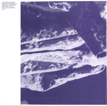2LP/Set di cofanetti Julius Eastman: The Nigger Series CLR | LTD