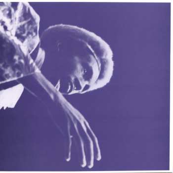 2LP/Set di cofanetti Julius Eastman: The Nigger Series CLR | LTD