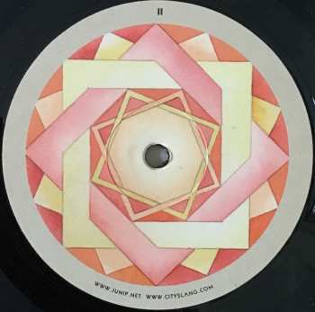 2LP Junip: Fields