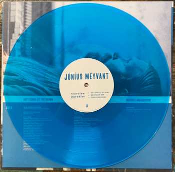 LP Júníus Meyvant: Rearview Paradise LTD