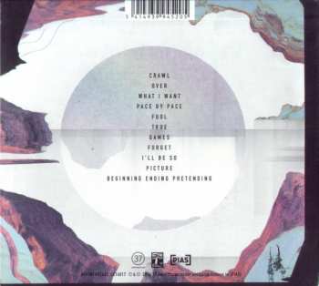 CD Junk Son: Beginning Ending Pretending