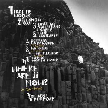 2LP Justin Bieber: Purpose