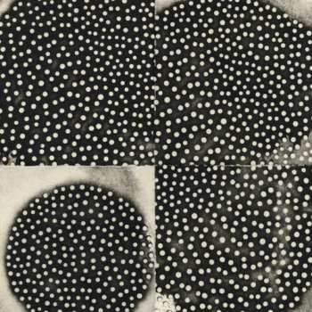 Album K. Leimer: Proximate Forms