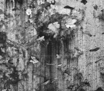 Album K. Leimer: Threnody