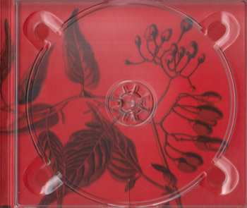 CD Kasey Chambers: Bittersweet