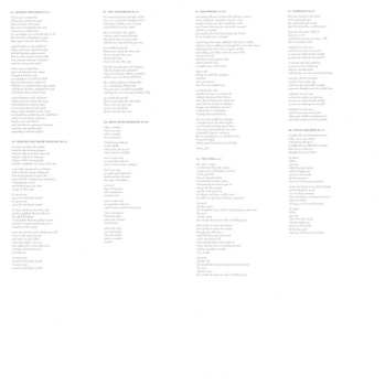 2LP Kashmir: Zitilites