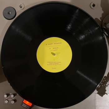 LP Kate Bollinger: A Word Becomes A Sound