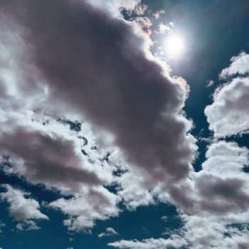 CD Kestrels: Better Wonder