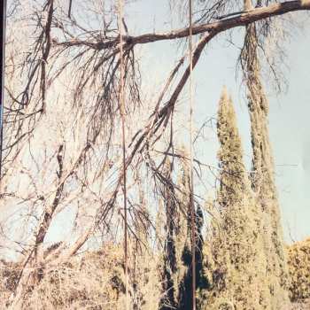 LP Kevin Morby: Sundowner