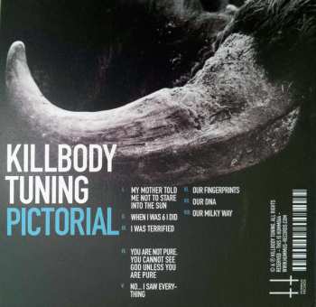 CD Killbody Tuning: Pictorial