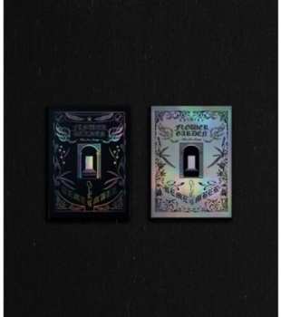 Album 김재중: FLOWER GARDEN