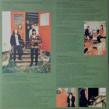 LP King Gizzard And The Lizard Wizard: Fishing For Fishies CLR