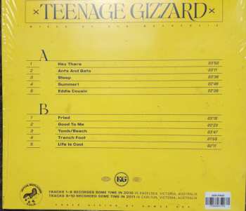 LP King Gizzard And The Lizard Wizard: Teenage Gizzard