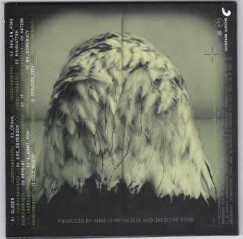 5CD/DVD/Set di cofanetti Kings Of Leon: The Collection Box