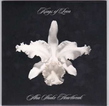 5CD/DVD/Set di cofanetti Kings Of Leon: The Collection Box
