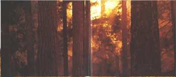CD Kinski: Alpine Static