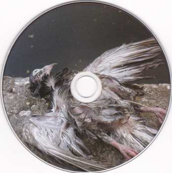 CD Kleistwahr: In The Guts Of A Year